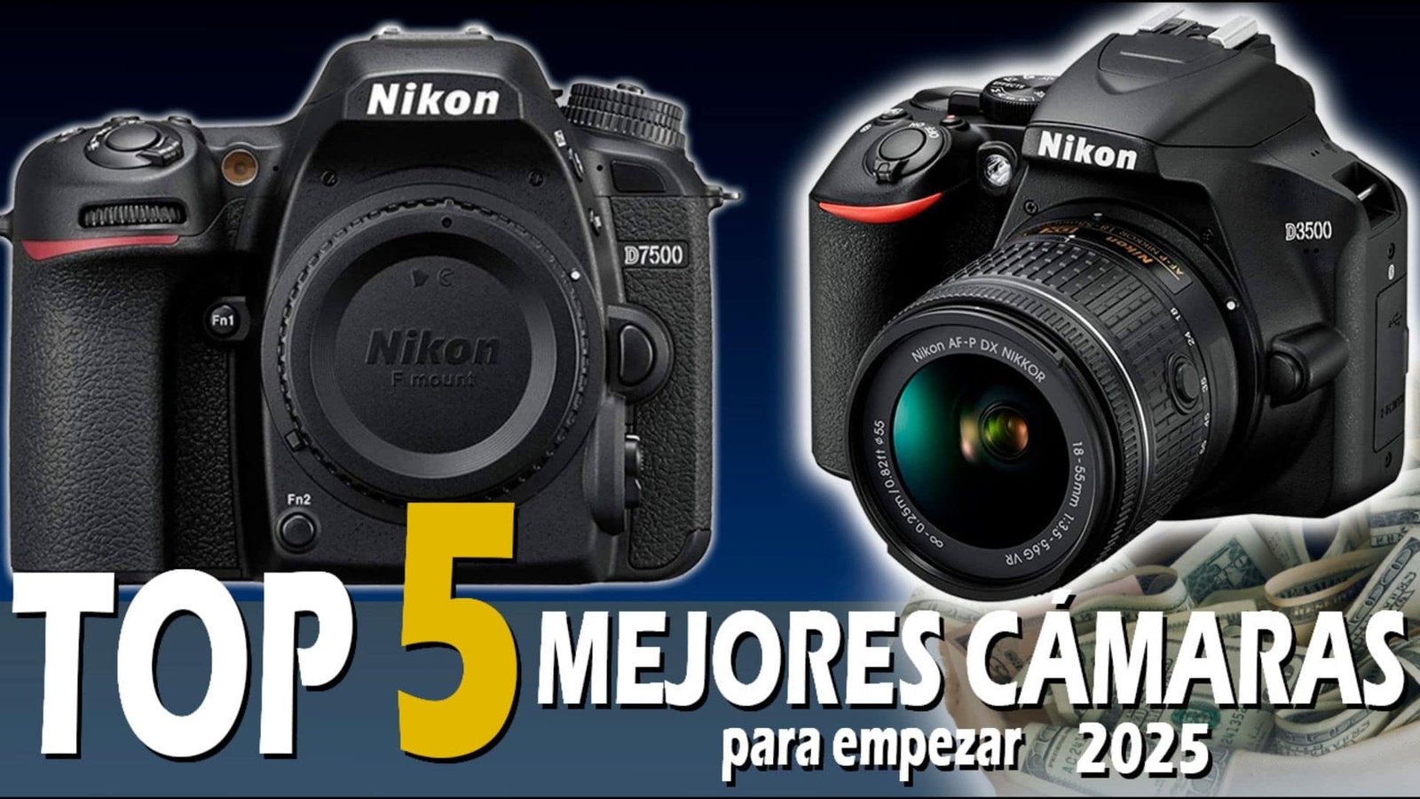 ✅Top 5 mejores cámaras para empezar en fotografía